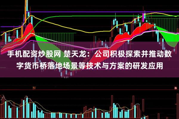 手机配资炒股网 楚天龙：公司积极探索并推动数字货币桥落地场景等技术与方案的研发应用